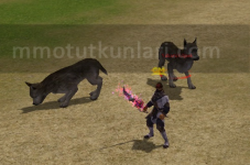 1753111207818.png